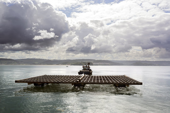 mussel farm aquaculture rafts in Galicia , Spain