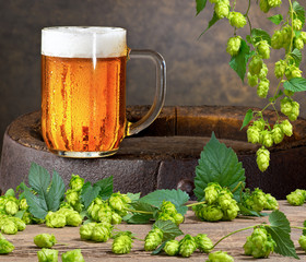 Glass of beer on the wooden barrel and hop cones.