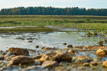Каменистый берег Волги