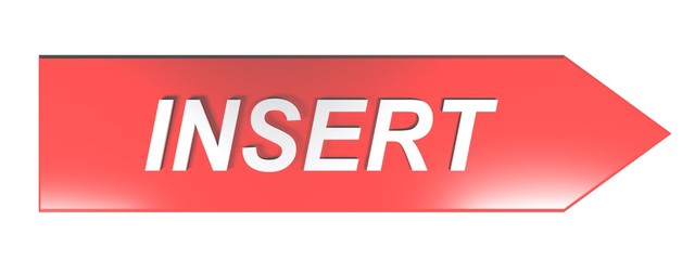 INSERT on red arrow - 3D rendering