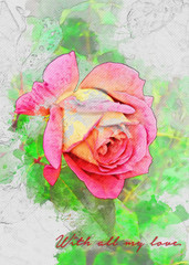 Rose Bariloche 2