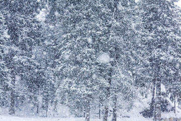 Christmas winter snow Finland