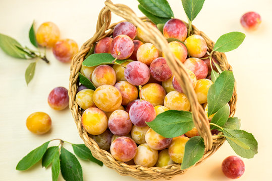 Mirabelle plum. Fresh berries in a small basket. 