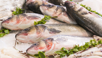 Background of fresh seafood fish clams crabs