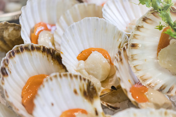 Background of fresh seafood fish clams crabs