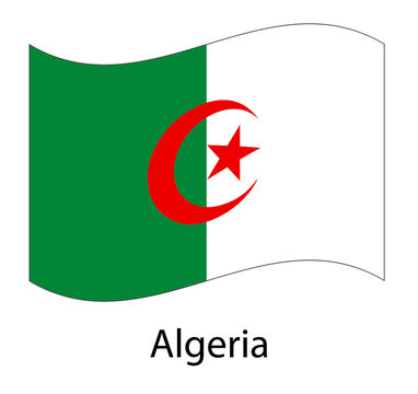 Algeria flag. Isolated national flag of Algeria. Waving flag of the People's Democratic Republic of Algeria.