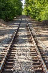 Fototapeta na wymiar Rails of train tracks lead to infinity at the horizon in the forest