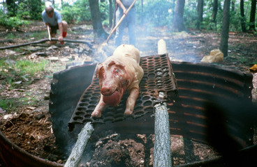 Pig Roast