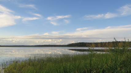 Lake in Russian near finnish border, forest and plants