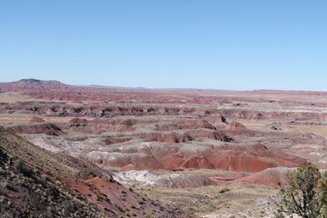 化石の森国立公園	