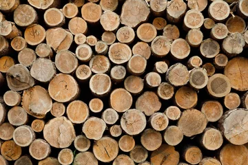 Möbelaufkleber Pile of wood logs .Forest logging site. felled tree trunks. © Gennady Danilkin
