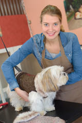 Pet groomer with dog