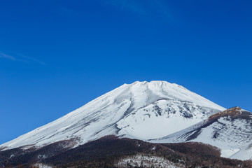 静岡県側からの冬の富士山