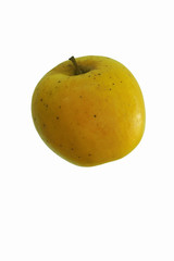 Opal apple (Malus domestica Opal). Known as UEB32642 also. Hybrid between Golden Delicious and Topaz apples.