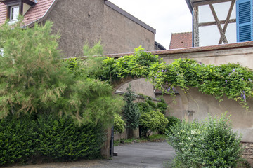 Portail d'entrée sous la verdure