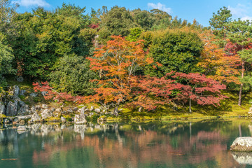 Autumn colors at Sogenchi Garden at Tenryu-ji temple..Designated as a Special Place of Scenic Beauty and UNESCO World Heritage Site
