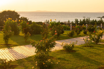 warm evening sea scape