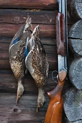 Fototapeten two ducks and a shotgun at a log house © rodimovpavel