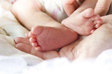Obraz na płótnie Canvas Legs of a newborn