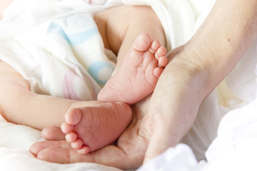 Fototapeta na wymiar Legs of a newborn