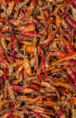 Dried and a bit tainted chillies