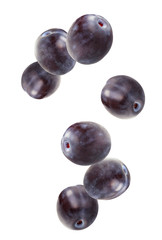 Falling plums, isolated on white background.