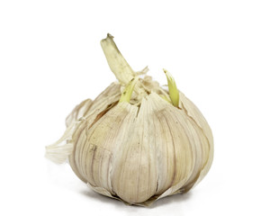 Garlic has fungus.