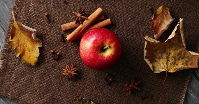 Top view of composed ripe red apple with cinnamon sticks and anise stars on canvas fabric with dry fallen leaves