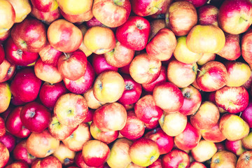 red ripe fall apples background in wooden boxes at street market, retro toned