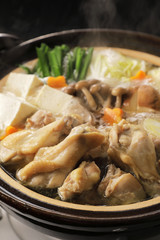 鶏鍋　Japanese chicken hot pot