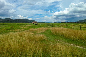 A hut in the meadow under the sky.