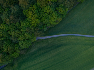 germany grass vertical view hattingen forrest drone green