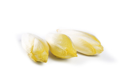 endive sur fond blanc,salade