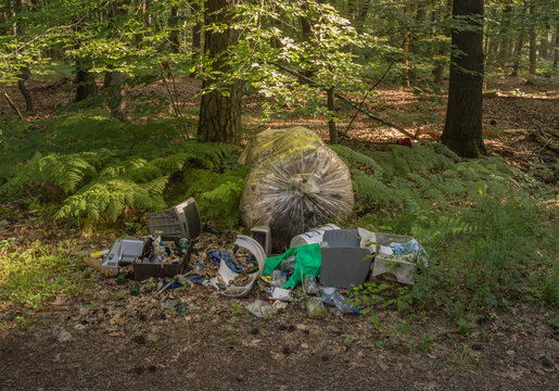 Wilde Müllkippe mit Sondermüll und Elektronikschrott im Wald - Wild dump with hazardous waste and electronic scrap in the forest