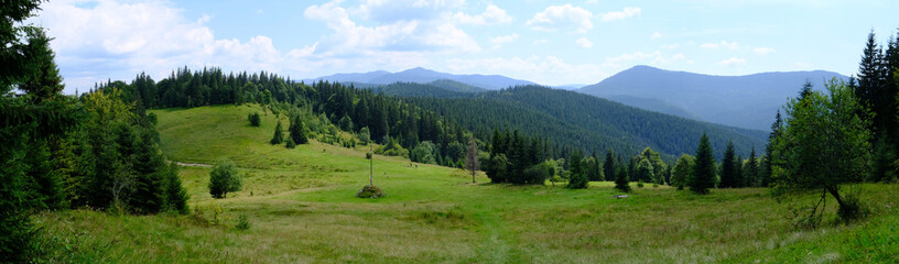 Ukraina, Karpaty Wschodnie - góry Gorgany Środkowe, górska panorama na Przełęczy Legionów (Rogodze Wielkie)
