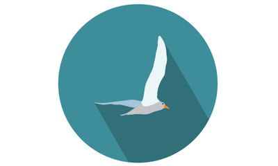 Seagull Flying vector flat icons- illustration