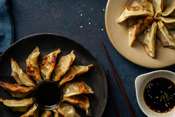 Fried gyoza dumplings with duck served with soy sauce ans sesame seeds. Dark blue concrete background