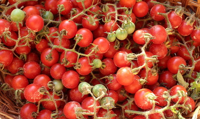 Cherry tomatoes, stained with sand, close-up.
