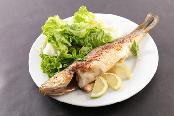 plate with grilled fish and salad