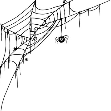 Spiderweb vector illustration