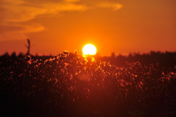 sunset in the mountains