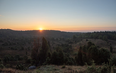 Sonnenaufgang über der Lüneburger Heide