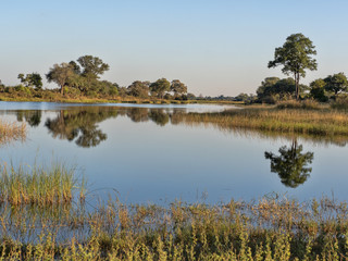 Landscape around the lake, reservation Bwabwata, Namibia