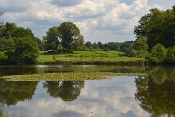 Les mille étangs Franche-Comté, reflets des arbres dans l'étang avec nénuphares rose près du lieu-dit Les Saulieux, Région des mille étangs, France