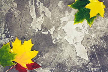 Natural maple fall leaves frame on gray stone background, retro toned