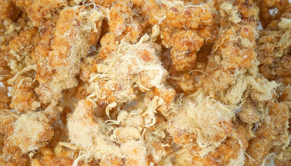 Thai Crispy Rice Cracker. A closed up texture of  Khaotan, a common snack from Thailand mixed with dried shredded pork.
