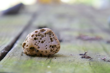 Small eroded rock on a wooden background