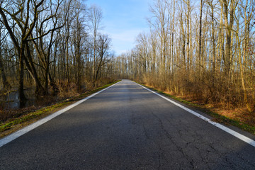 Fototapeta premium Long Road