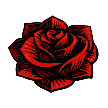 Vector illustration of rose flower