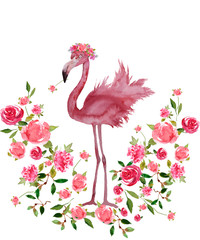 Pink Flamingo and Floral wreath Hand drawn Watercolor on white background  